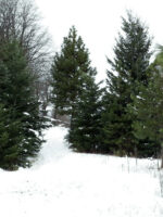Traslado al Cerro Piedras Blancas - Imagem 2