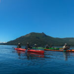Kayak por el Lago Moreno