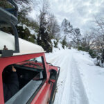 Nieve encantada: Aventura Patagónica con Trineos, Raquetas y Sabores Regionales