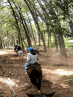 Cabalgata con vista al Cerro López - Aventura entre bosques y miradores del Circuito Chico