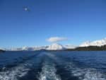 Patagonia Natural: Isla Victoria y Bosque de Arrayanes sin traslado - Imagen 2