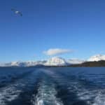 Isla Victoria y Bosque de Arrayanes – Una Experiencia Natural Inolvidable en la Patagonia Argentina- Con traslado