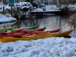Kayak por el Lago Moreno - Imagen 2
