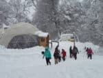 Hiking to the Frozen Lagoon: nature, snow and safe adventure in Patagonia