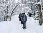 Refugio Neumeyer: neve, natureza e sabores no coração de Bariloche