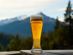 Traslado Cervecería Patagonia: Cerveza artesanal y vistas únicas - Imagen 2