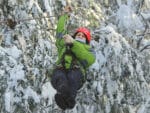 Canopy in Bariloche