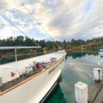 Isla Victoria y Bosque de Arrayanes con Traslado
