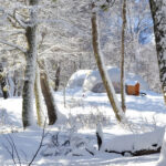 Experiences: Hiking With Snowshoes And Regional Flavors - Neumeyer Refuge