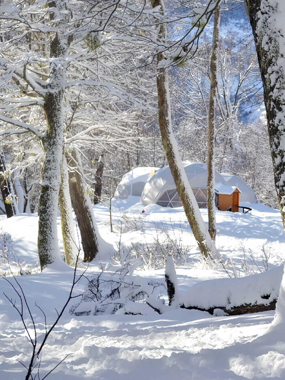 7 A Vivenciascaminataconraquetasysaboresregionales_image2_1140_1605381519-pica copia Vivencias: Caminata Con Raquetas Y Sabores Regionales-Refugio Neumeyer - Image 1