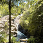 Puerto Blest y Cascada "Los Cantaros" con traslado