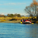 Rafting Limay por la estepa patagónica