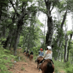 Cabalgata con vista al López-Aventura entre bosques y miradores del Circuito Chico