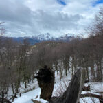 Transfer Colonia Suiza Bariloche: tradition, nature and flavor