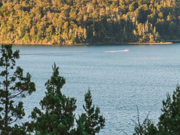 Traslado Cervecería Patagonia: Cerveza artesanal y vistas únicas
